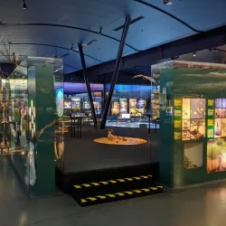 Siida Museum - Inari