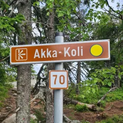 Ukko-Koli Hill - Inari