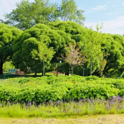 Järvenpää City Park - Jarvenpaa