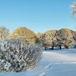 Järvenpää City Park - Jarvenpaa