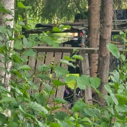 Juva Nature Reserve - Juva