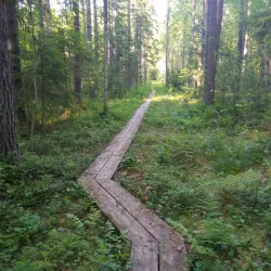 Juva Nature Reserve - Juva