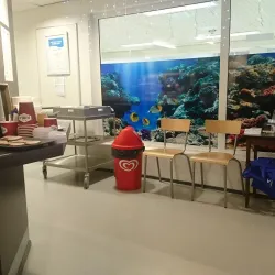 Juva Sauna Experience - Juva