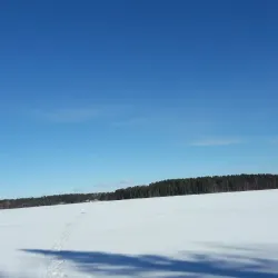 Lake Jukajärvi - Juva