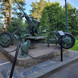 Harju Ridge and Observation Tower - Jyvaskyla