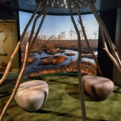 Museum of Central Finland - Jyvaskyla