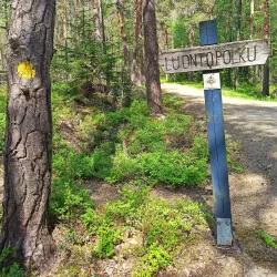 Himanka Nature Trail - Kajaani