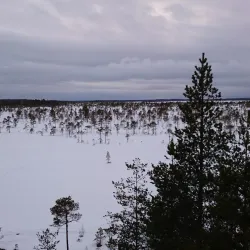 Kankaanpää Nature Park - Kankaanpaa