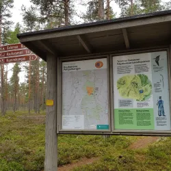 Kankaanpää Nature Park - Kankaanpaa