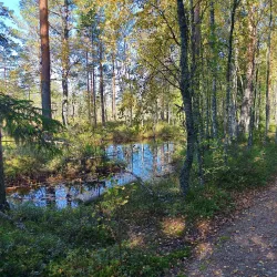 Kankaanpää Nature Park - Kankaanpaa