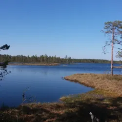 Kankaanpää Nature Park - Kankaanpaa