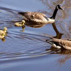 Lake Rautavesi - Kankaanpaa