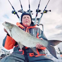 Lake Rautavesi - Kankaanpaa