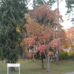 Kerava Church - Kerava