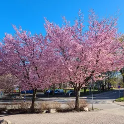 Kerava Library - Kerava