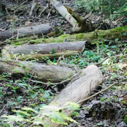 Kerava Nature Reserve - Kerava