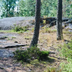 Kerava Nature Reserve - Kerava