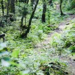 Kerava River Trail - Kerava