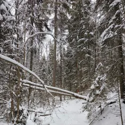 Kerava River Trail - Kerava