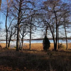 Björkudden Park - Kirkkonummi