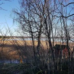 Björkudden Park - Kirkkonummi