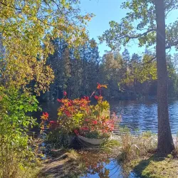 Gallträsk Nature Trail - Kirkkonummi