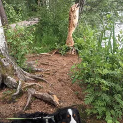Gallträsk Nature Trail - Kirkkonummi