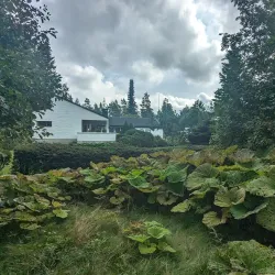 Gallträsk Nature Trail - Kirkkonummi