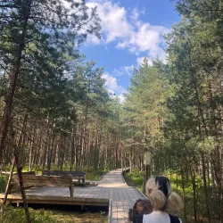 Gallträsk Nature Trail - Kirkkonummi