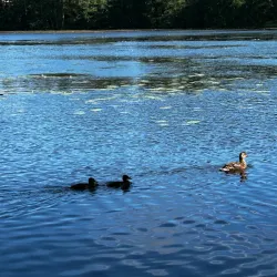 Gallträsk Nature Trail - Kirkkonummi