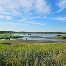 Jorvaksenlahti Nature Reserve - Kirkkonummi