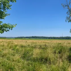 Jorvaksenlahti Nature Reserve - Kirkkonummi