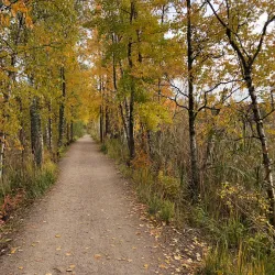 Jorvaksenlahti Nature Reserve - Kirkkonummi
