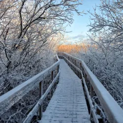 Jorvaksenlahti Nature Reserve - Kirkkonummi