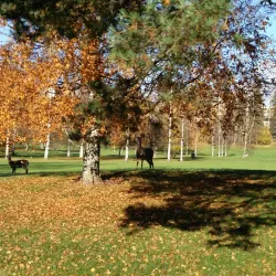 Karis Golf Club - Kirkkonummi