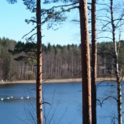 Kirkkojärvi Lake - Kirkkonummi