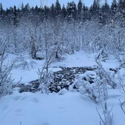 Levi Golf Course - Kittila (Kittilä)