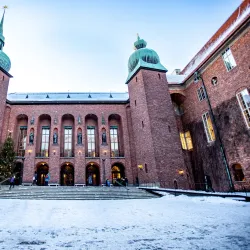 Northern Lights Viewing - Kittila (Kittilä)