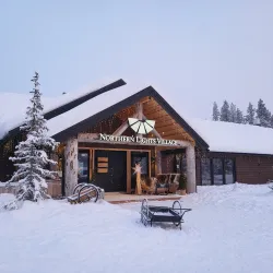 Northern Lights Viewing - Kittila (Kittilä)