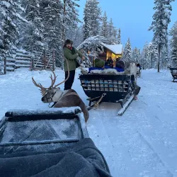 Northern Lights Viewing - Kittila (Kittilä)