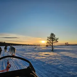 Northern Lights Viewing - Kittila (Kittilä)