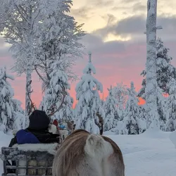 Northern Lights Viewing - Kittila (Kittilä)