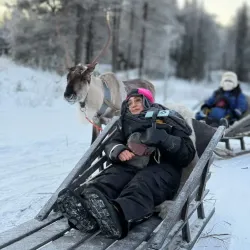 Reindeer Farm Visits - Kittila (Kittilä)