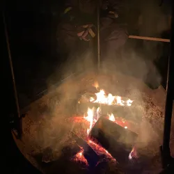 Reindeer Farm Visits - Kittila (Kittilä)