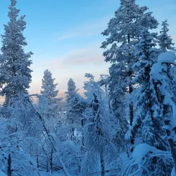 Sámi Cultural Center Siida - Kittila (Kittilä)