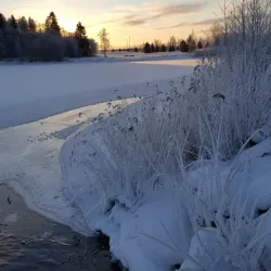 Kokkola Botanical Garden - Kokkola