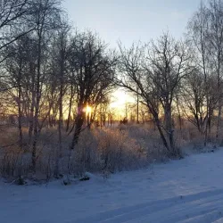 Kokkola Botanical Garden - Kokkola