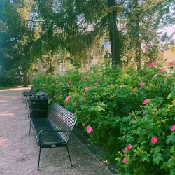 Kokkola Botanical Garden - Kokkola