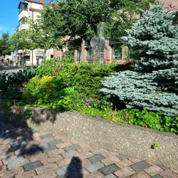 Kokkola City Library - Kokkola