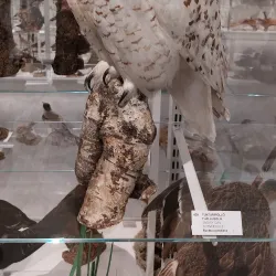 Kokkola Maritime Museum - Kokkola